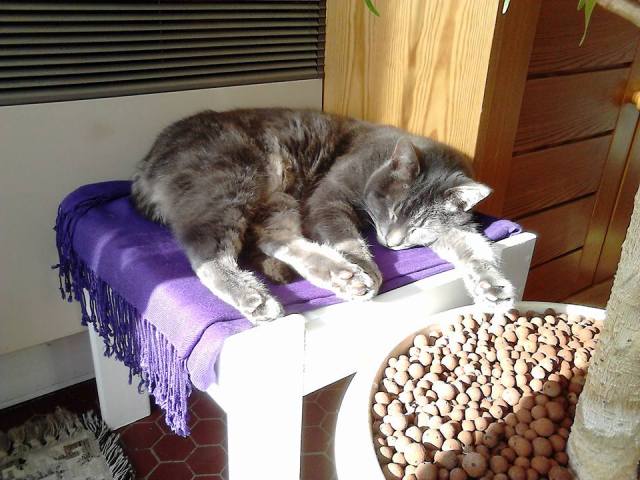 14900429_1232648636757207_3399352865477207562_n