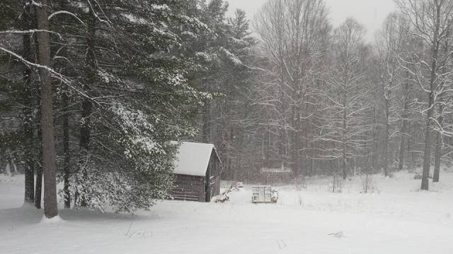 15940887_1309042905824611_3165949543973416855_n