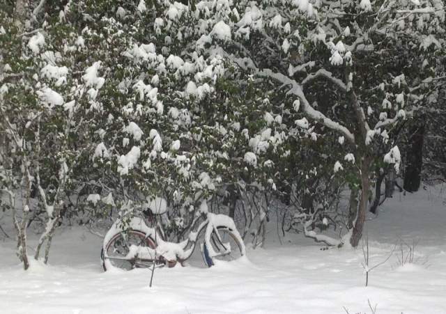 15965286_10206352028599705_619262816994603533_n