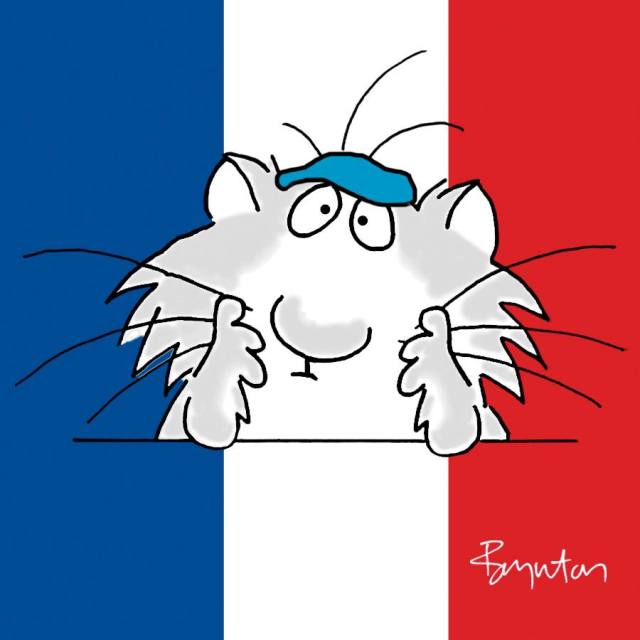 19961294_1637254922976071_5130036801219878994_n