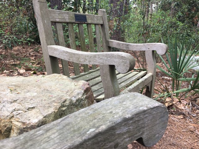 bench1