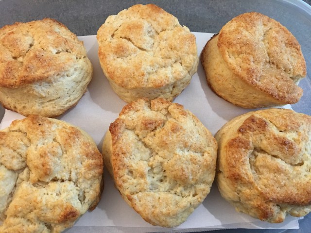 baked biscuits