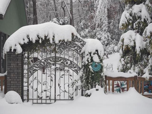 47684870_10210581342849918_6542913085206691840_n